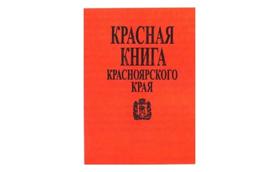 Растения красной книги красноярского края фото Школьникам рассказали о представителях Красной книги Красноярья - Образование в 