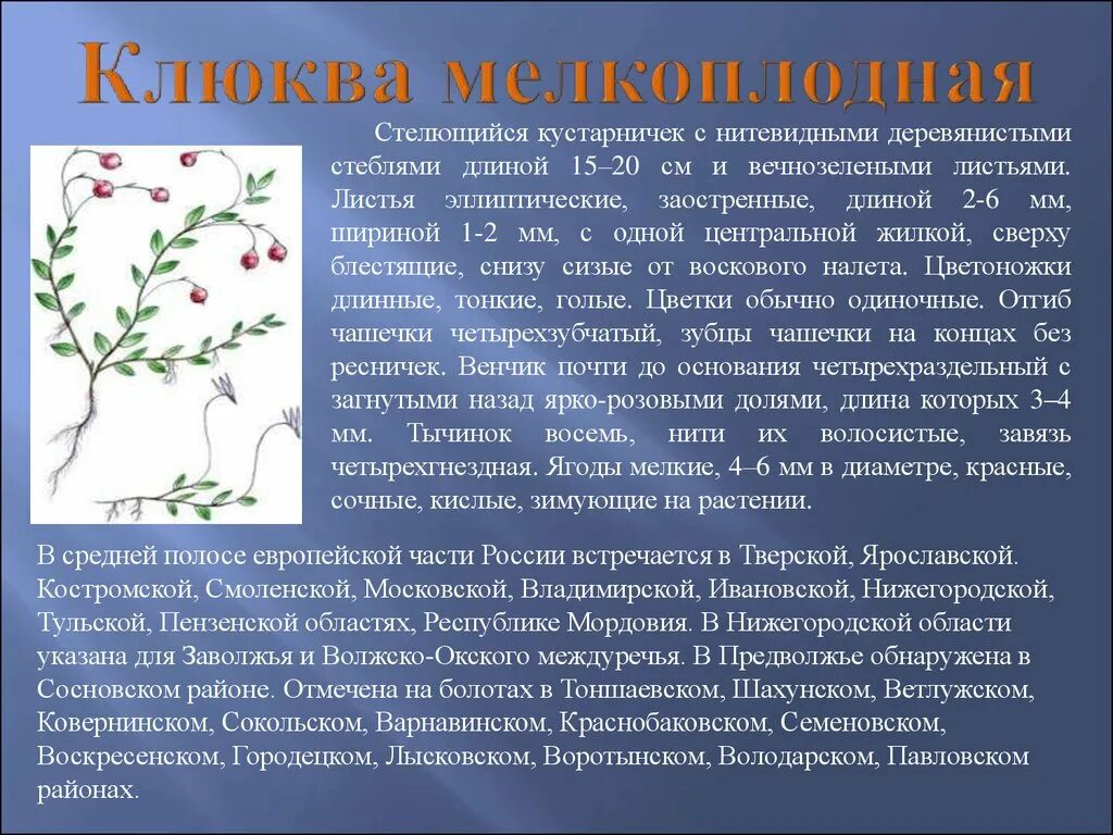 53) Одноклассники Garden, Plants