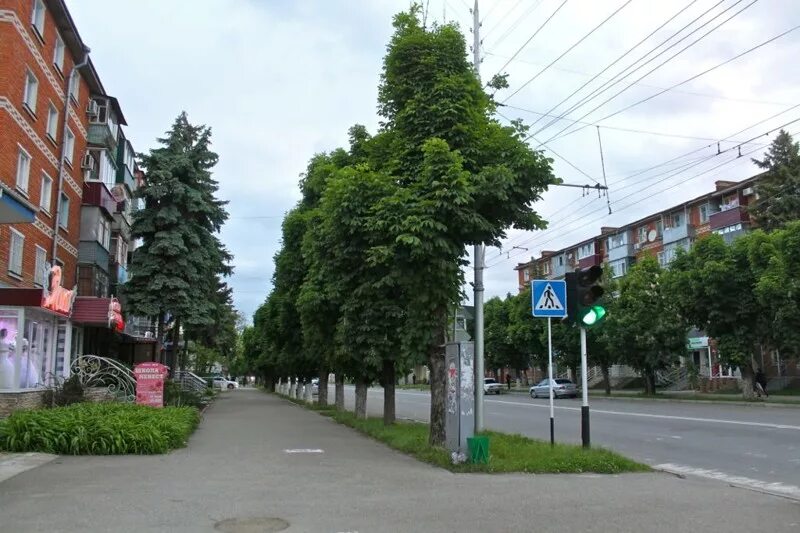 Растения майкоп ул кирова 22 фото Город - Майкоп. Города России. Пост номер 42. Фоторепортаж