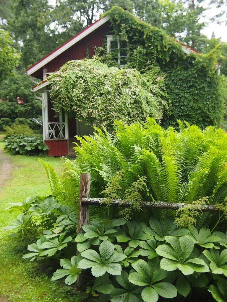 Garden Plants Oppidan Library