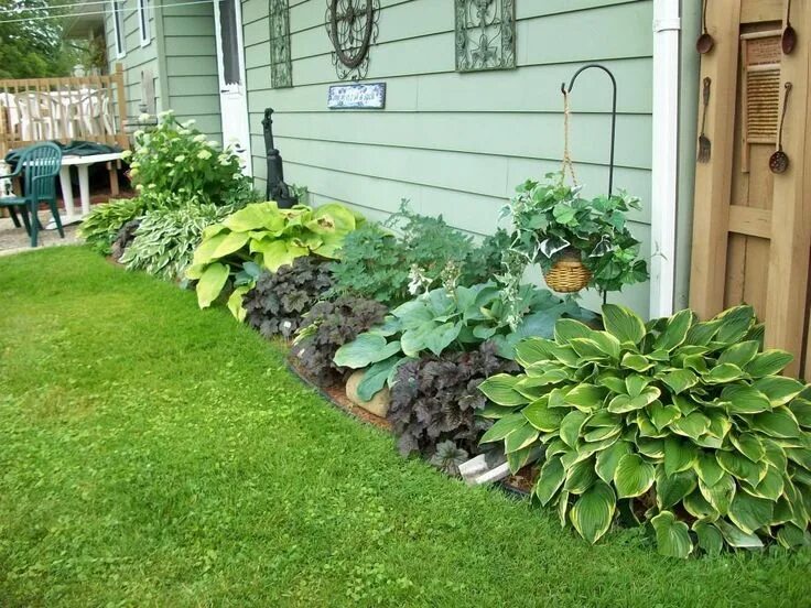 Растения на дачном участке фото Hottest Photos Shade Garden ideas Strategies If the yard is filled with large sh