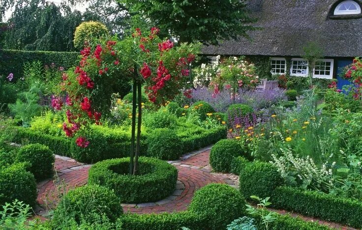 Растения на дачном участке фото Pin by Lili on Плодовий сад і город Boxwood garden, Cottage garden, Porch garden