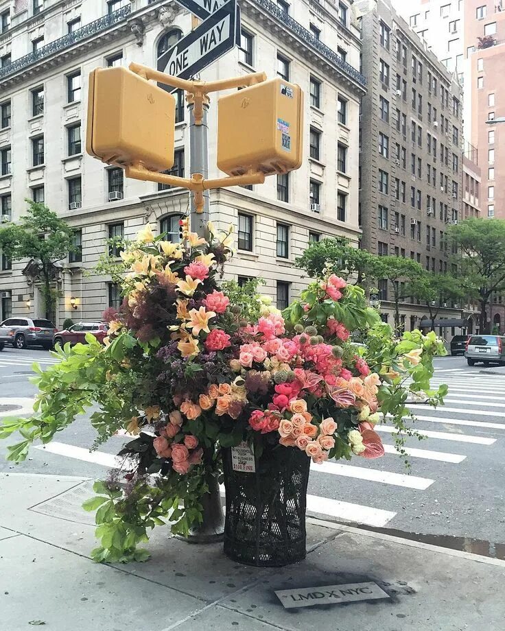 Растения на улице фото Guerilla Flower Installations on the Streets of NYC by Lewis Miller Design. Neve