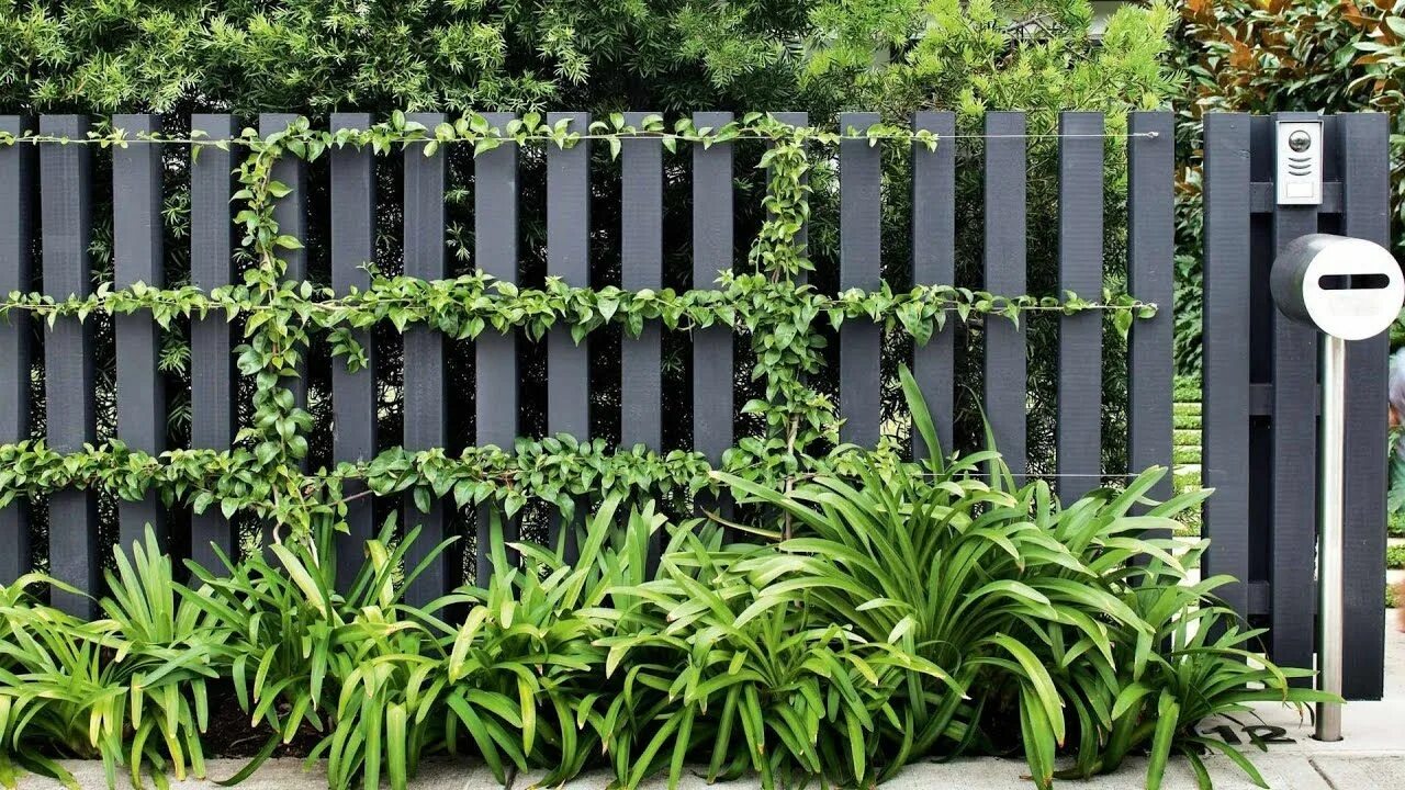 Растения на заборе фото Image result for modern fence design Fence design, Front yard fence, Fence lands