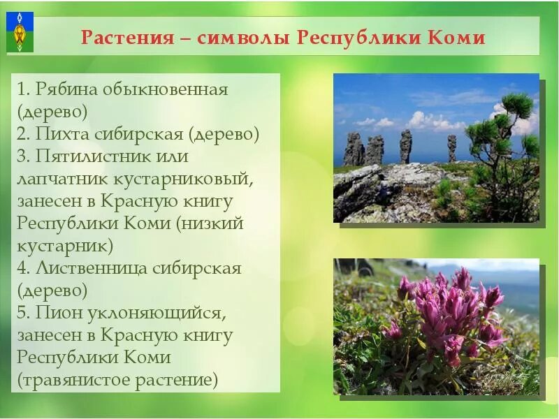 Растения республики коми фото и описание Аллея России в Республике Коми Всероссийская патриотическая акция