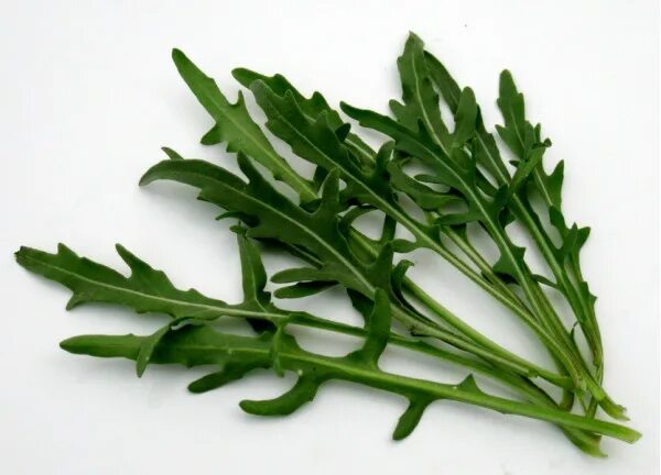 Растения руккола как выглядит Wild arugula POSITIV buy in the online store DobryeSemena.ru