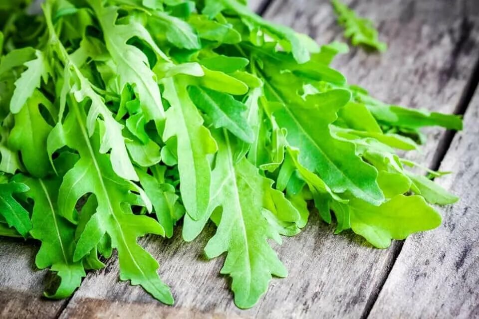 Растения руккола как выглядит Amazon.com: Wild Arugula