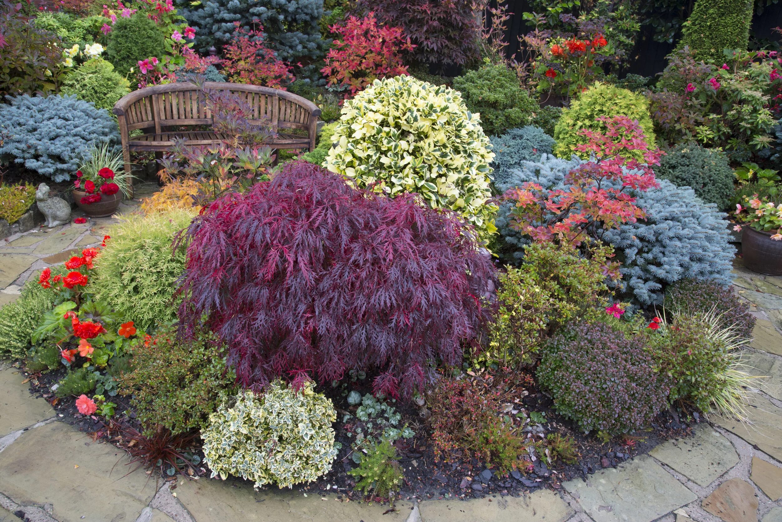 Растения с декоративной листвой для сада фото Обои для рабочего стола Англия Walsall Garden Природа Сады 2500x1667