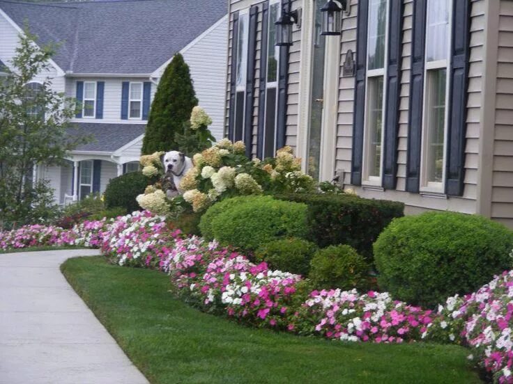 Растения с клумбы возле дома фото Ландшафтный дизайн перед домом Small front yard landscaping, Front yard garden, 