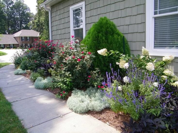 Растения с клумбы возле дома фото Цветы и растения - выбираем сочетание Hydrangea landscaping, Landscaping with ro