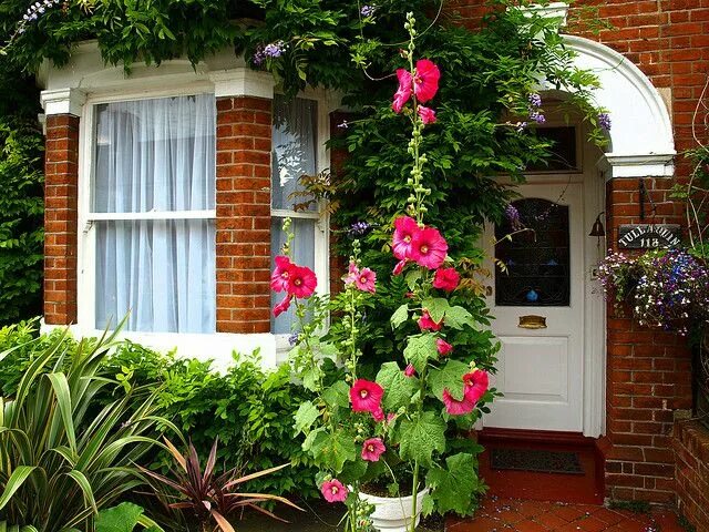 Растения у дома во дворе фото Garden - beautiful entry via Photo: Richard Maguire! Front garden, Dream garden,