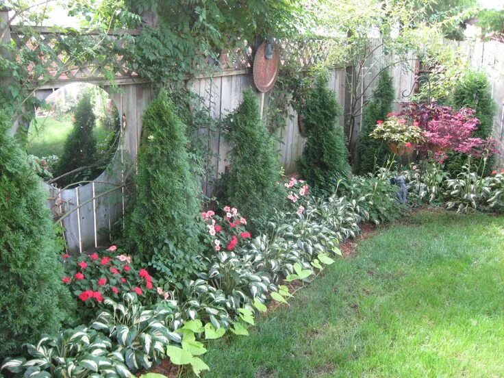 Растения у забора в ландшафтном дизайне фото Backyard Backyard garden landscape, Backyard landscaping designs, Garden design