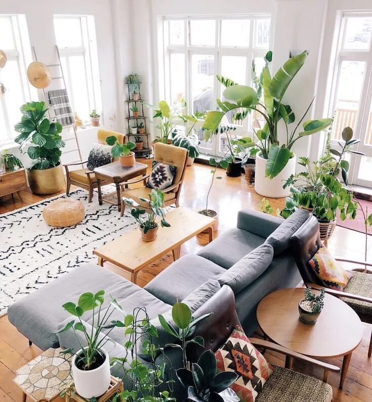 Растения в гостиной интерьер plants! Living room scandinavian, Living room plants, Scandinavian design living