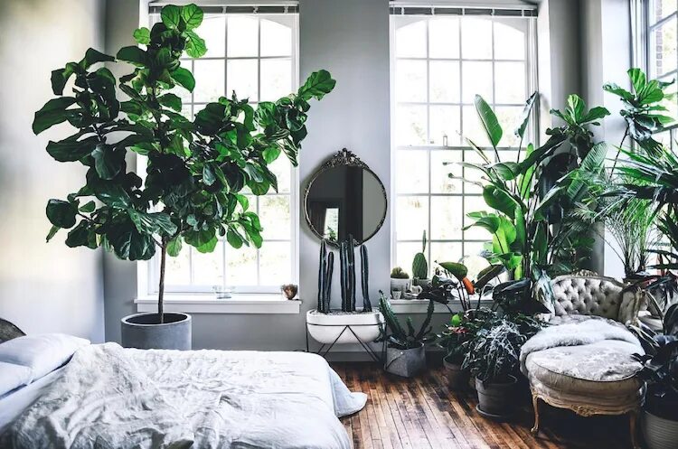 Растения в интерьере 6 класс An incredible loft, filled with plants! (my scandinavian home) Scandinavian home