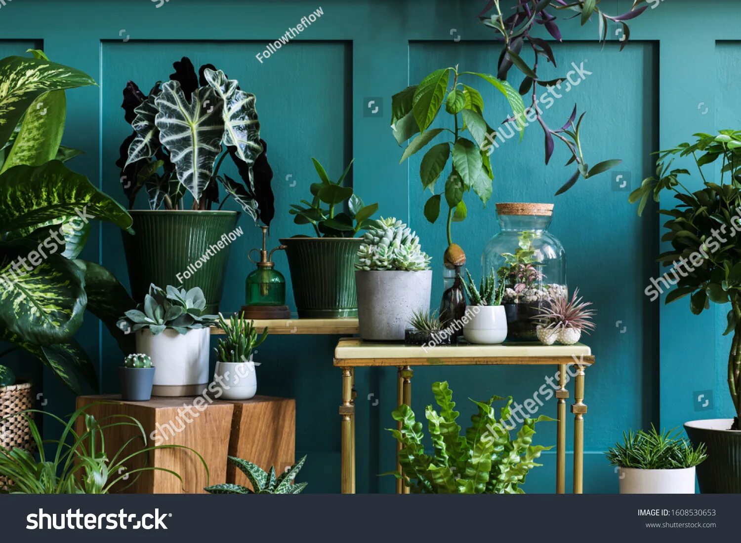 Растения в интерьере фото 894.629 Plant interior decoration Gambar, Foto Stok & Vektor Shutterstock