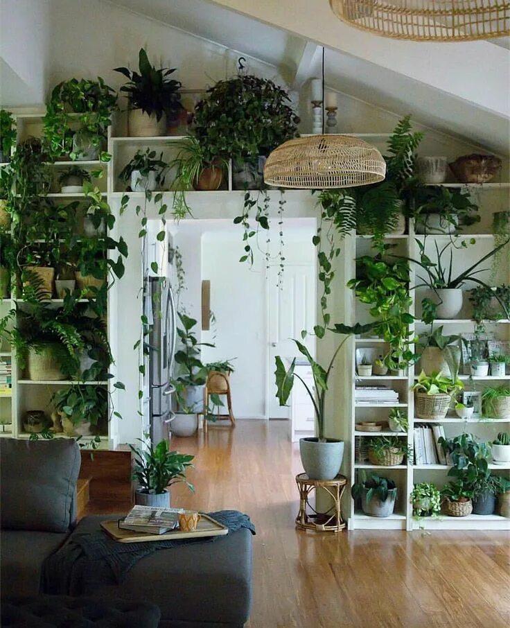 Растения в интерьере фото Pin by Scorpio on Houses and everything in and around it Small indoor plants, Ho