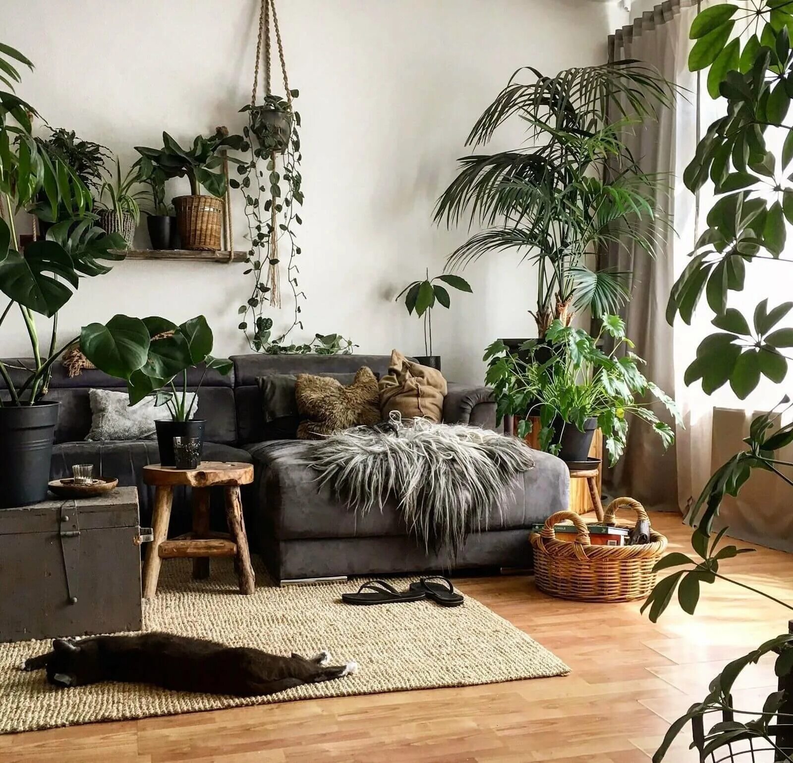 Растения в интерьере гостиной Interior Decor Plants - 72 photo