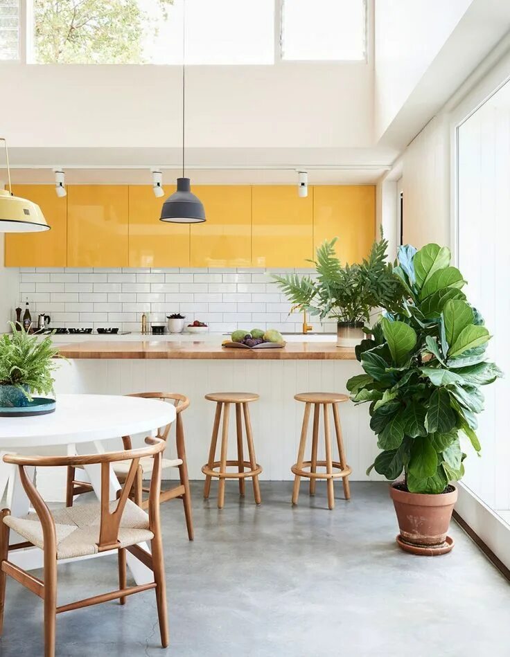 Растения в интерьере кухни A Photographer + Stylist's Vibrant Family Home Cuisine jaune, Cuisine moderne, D