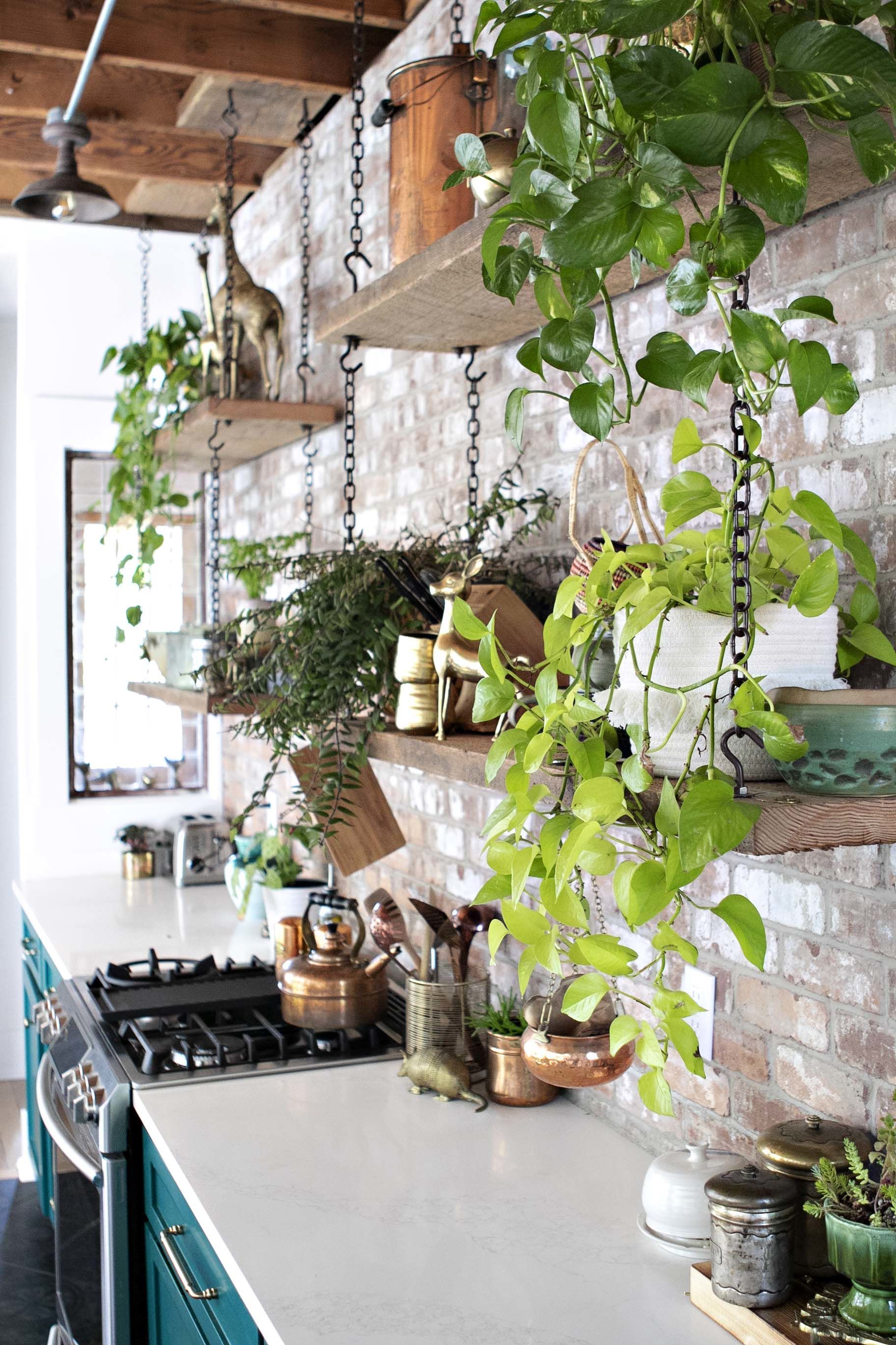 Растения в интерьере кухни A Dated, Dilapidated Building Is Now a Bright and Boho Dream House Kitchen plant