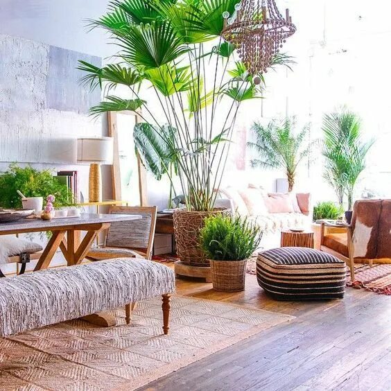 Растения в интерьере квартиры Estilo tropical, inspiración Decoración de unas, Plantas de interior, Decoración