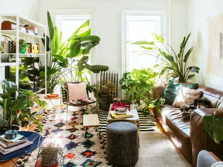 Растения в интерьере квартиры фото 7 ways to create a lush oasis with houseplants Living room plants, Living room p