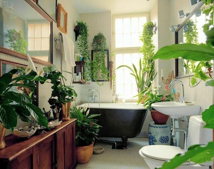 Растения в интерьере ванной комнаты Cuarto de baño con gran variedad de plantas de interior Wohnen, Badezimmer gesta