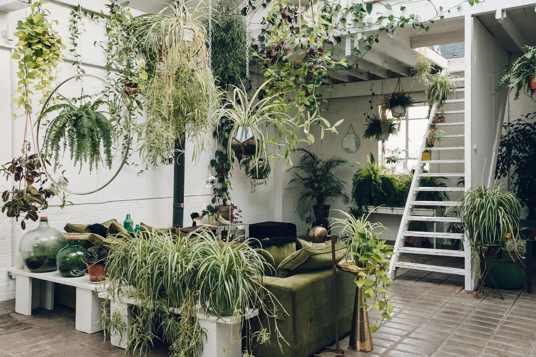 Растения в интерьере жилого дома Inside Clapton Tram - Haarkon House plants indoor, Indoor plants, Green interior