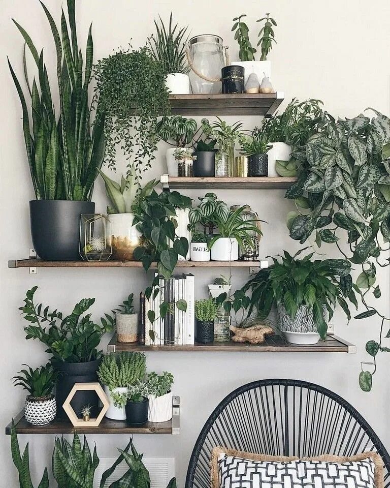 Растения в интерьере жилого дома 6 45 Easy Simple House Plants Indoor Decor Ideas #house #housedecor #housedecorati