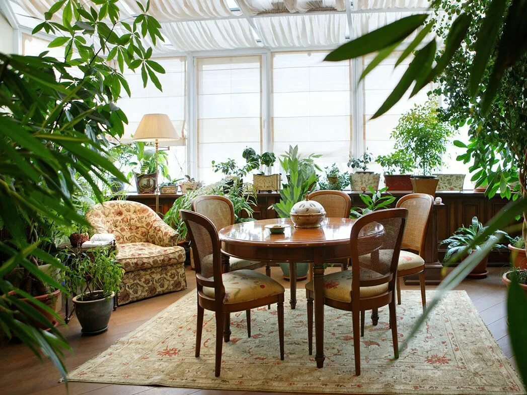 Растения в интерьере жилого дома 6 Indoor garden, Winter garden, Houseplants indoor