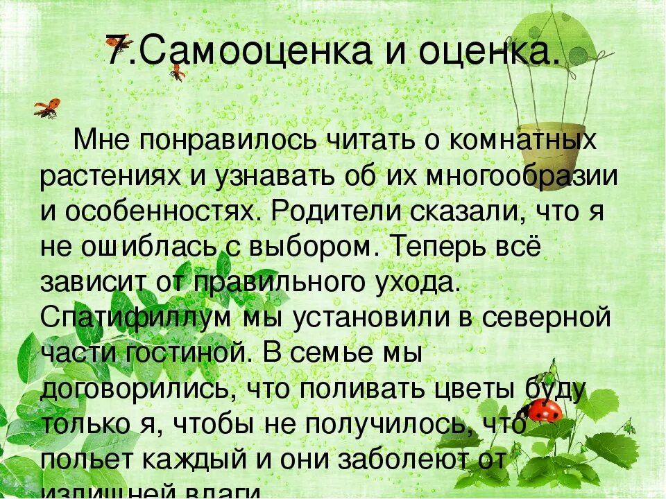 Растения в интерьере жилого дома 6 класс Проект цветок по технологии