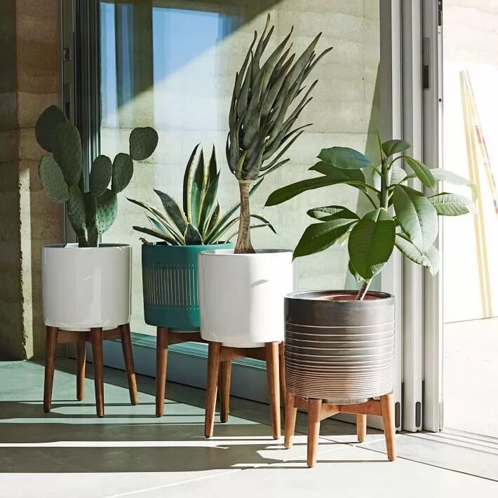 Растения в современном интерьере My Search for a Midcentury Modern Plant Stand - Welcome Objects Modern plant sta