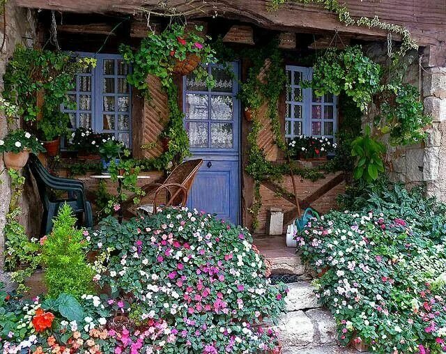 Растения во дворе дома фото и названия Cottage Front entrance decor, Cottage garden, Garden inspiration