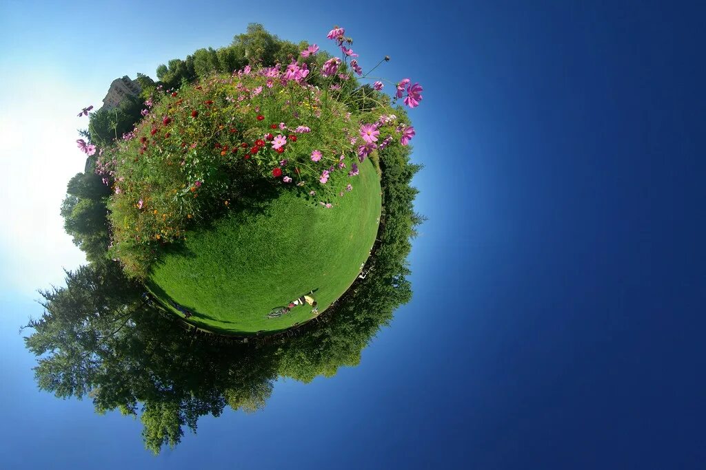 Растения земли фото Prairie colorée Stereographic projection of this equirecta. Flickr