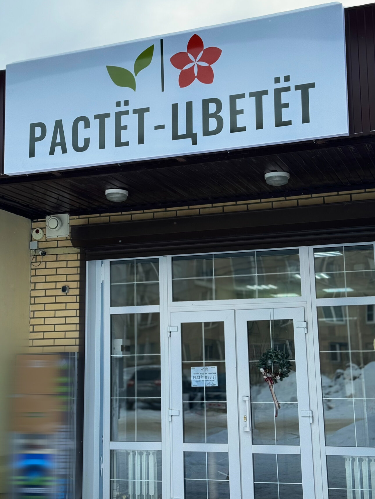 Растет цветет ул ленинского комсомола 3б фото Rastet Cvetet, flower shop, Рязань, улица Ленинского Комсомола, 3Б - Yandex Maps