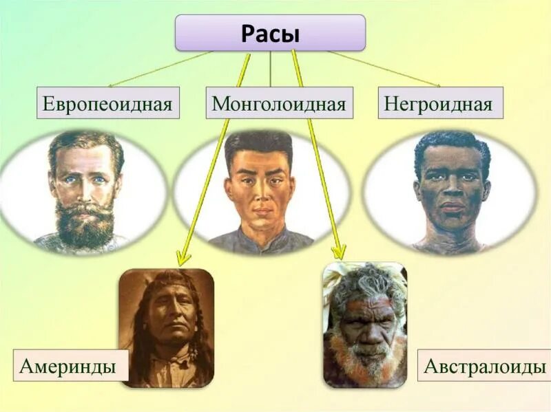 Расы земли фото В Японии изучили влияние COVID-19 на разные расы людей