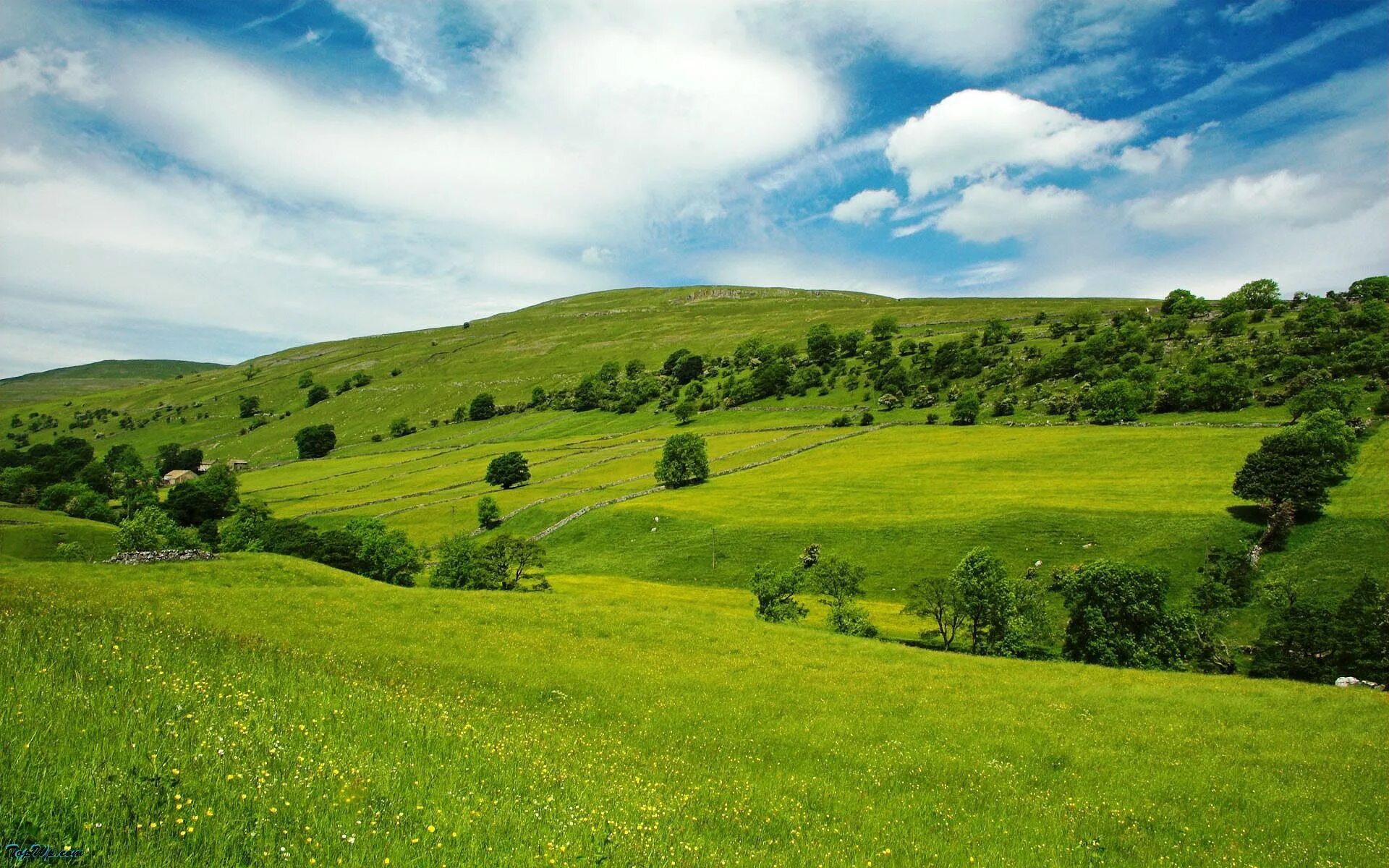 Равнины россии фото green hills x Best nature wallpapers, Green landscape, Nature wallpaper