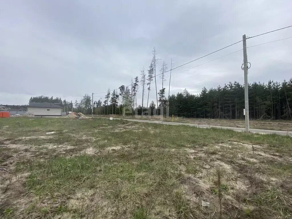 Равновесие лесная ул 26 село ямное фото Участок в Воронежская область, Рамонский район, с. Ямное ул. Колосова ., Купить 