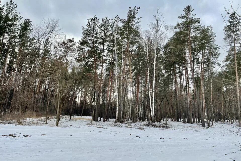 Равновесие лесная ул 26 село ямное фото Купить Участок Ижс с Коммуникациями на Ольховой улице (село Ямное) - предложения