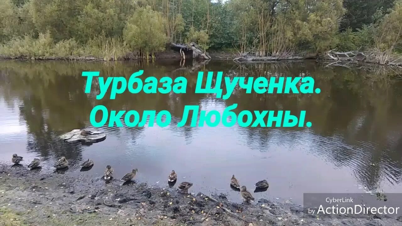 Рай пара дятьково база отдыха фото Щученка. Турбаза около Любохны. Авг. 2019. - YouTube