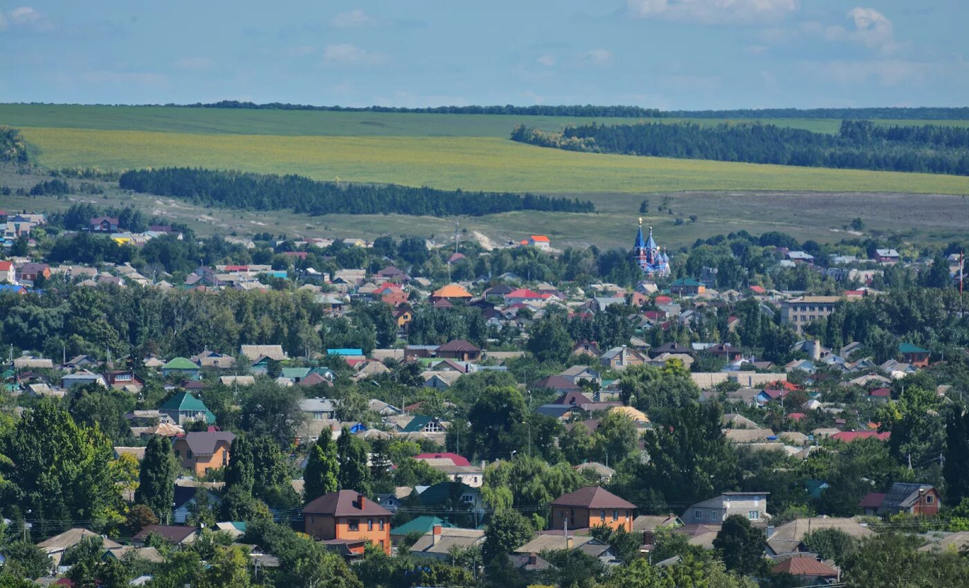 Рай ул кривопустова 18 село алексеевка фото Алексеевка и окрестности: gubin_36 - ЖЖ