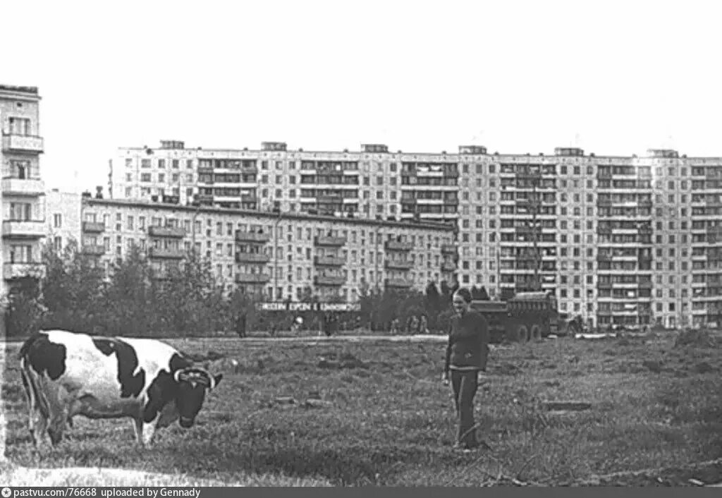 Район ретро фото Мои Коммуналки: Улица Грановского, Тушино и снова Тушино Московские истории Дзен