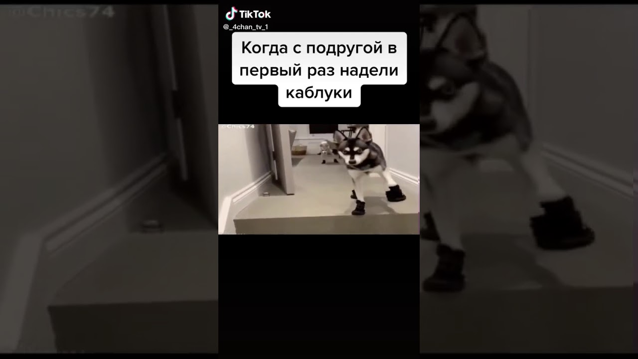 Раз их одели чем Это когда мы с подругой первый раз надели каблуки. TikTok - YouTube