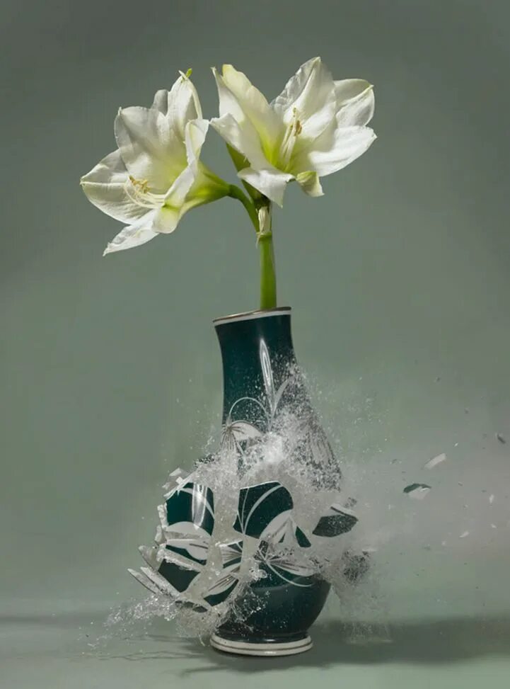 Разбитая ваза фото High-Speed Photos Capture Delicate Vases Shattering in Mid-Air High speed photog