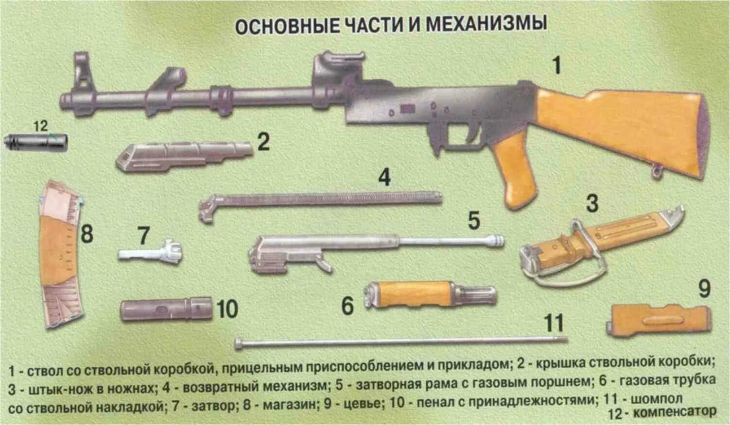 Разборка автомата по порядку и названия Область применения ак