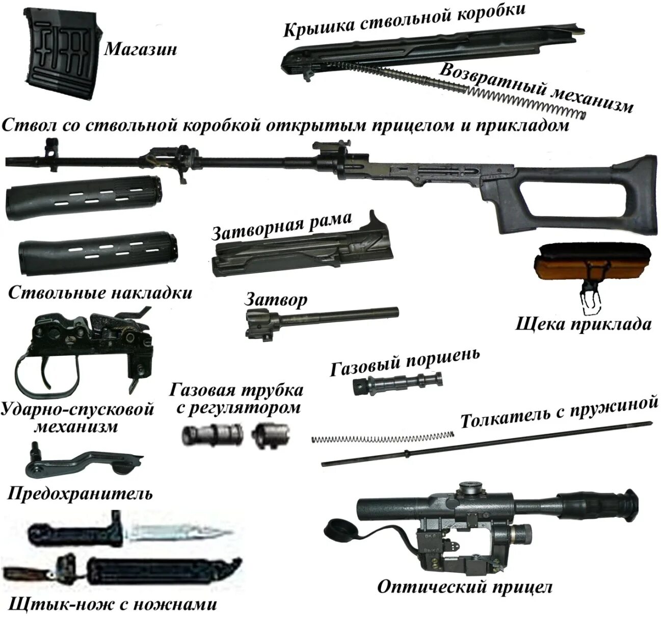 Разборка свд порядок Самозарядная винтовка MR1 - гражданский вариант СВЧ