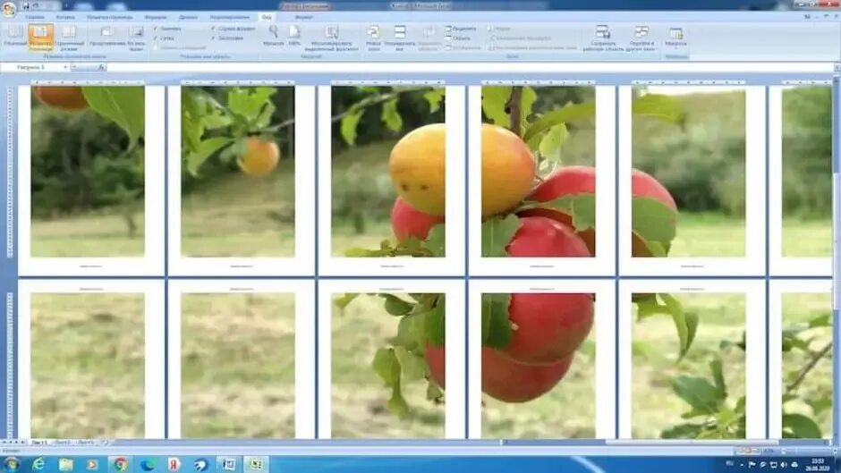 Разделить фото на 9 Как распечатать фотки фото - DelaDom.ru