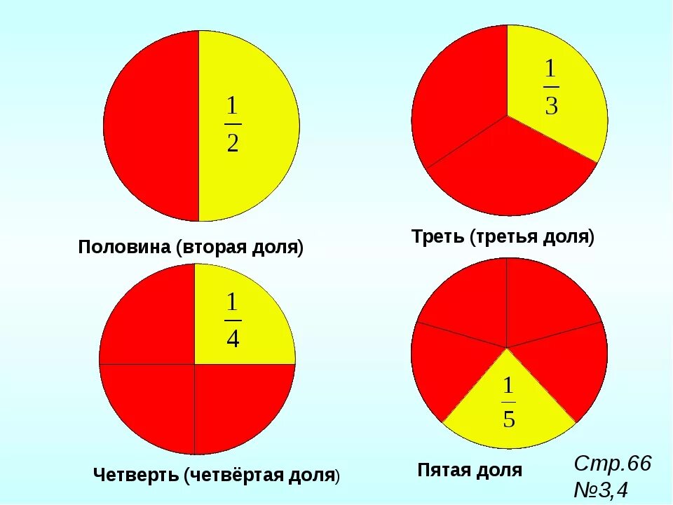 Разделить таблетку на 3 4 фото Одна вторая разделить на одну четвертую: найдено 59 изображений