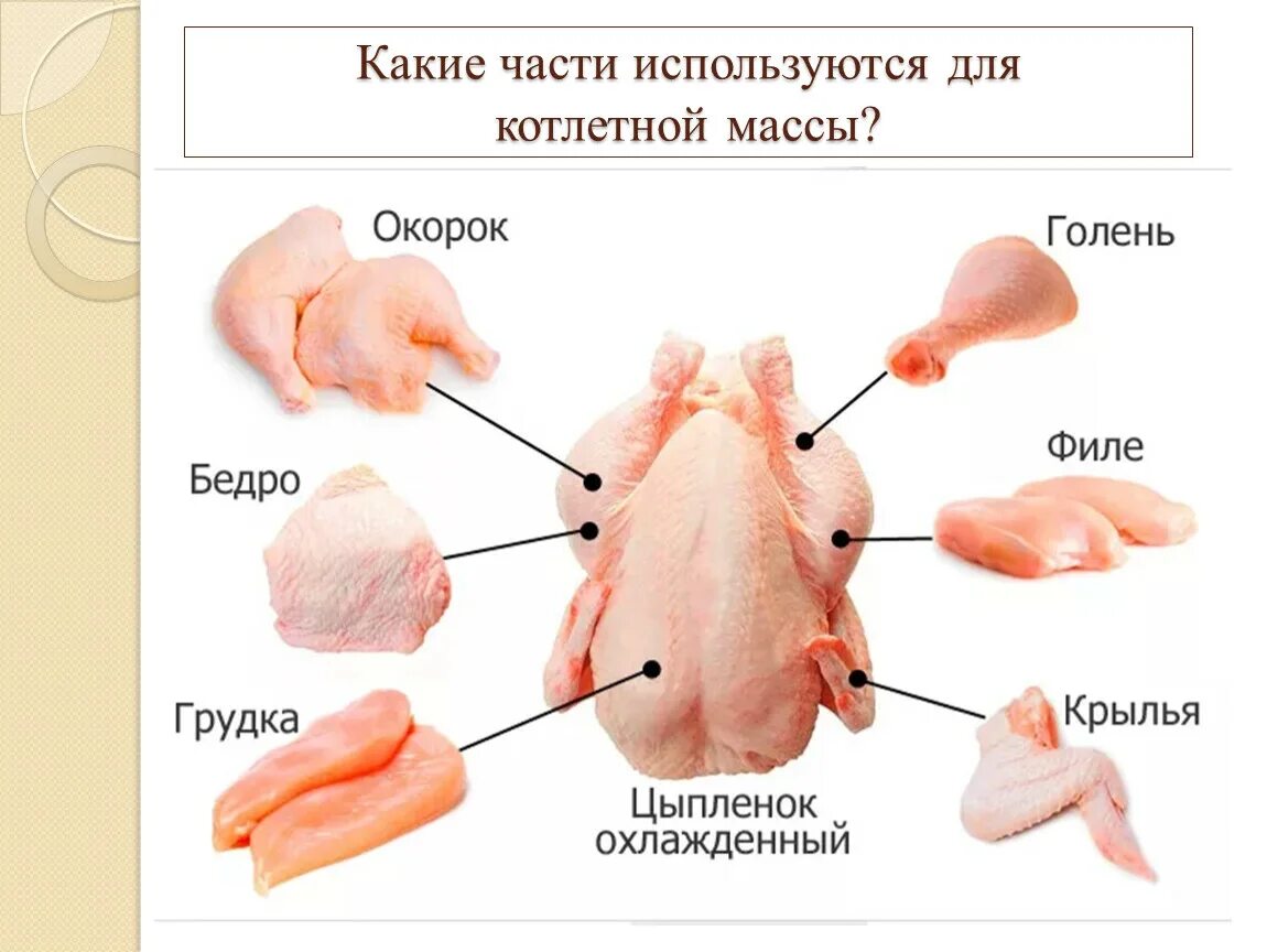 Разделка курицы на части схема фото Презентация к уроку "Приготовление котлет по-киевски"