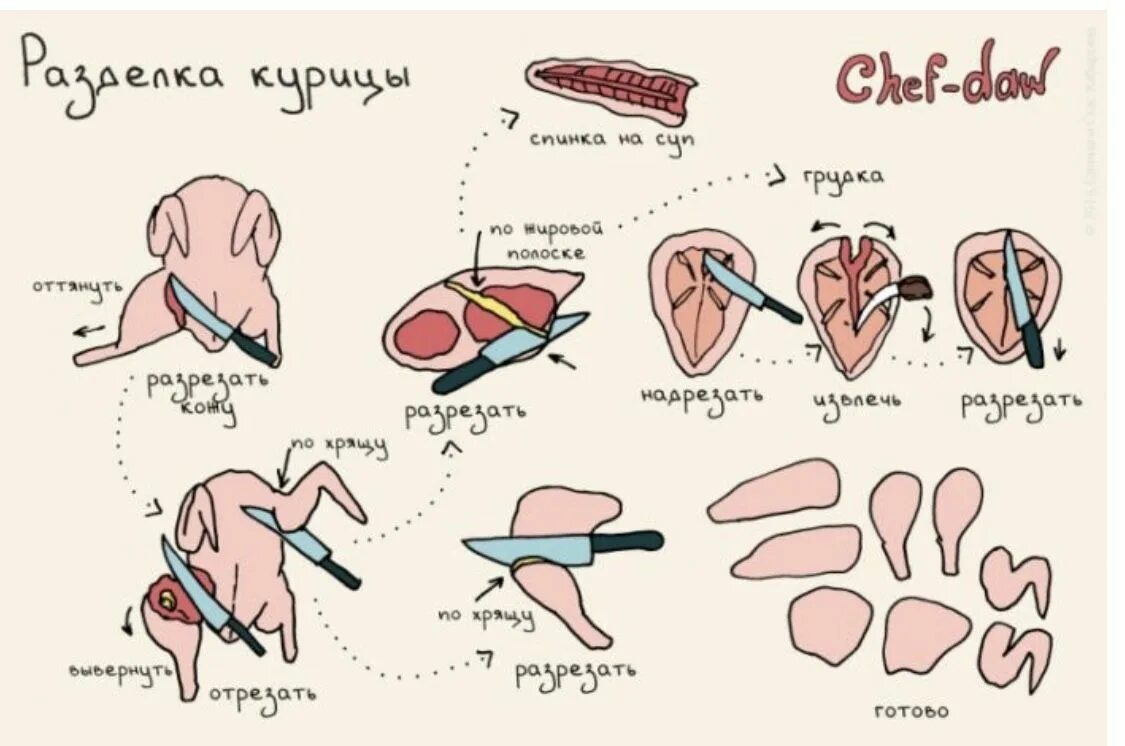 Разделка курицы на части схема фото Разделка курицы Кулинарные советы, Рецепты, Кухонные советы