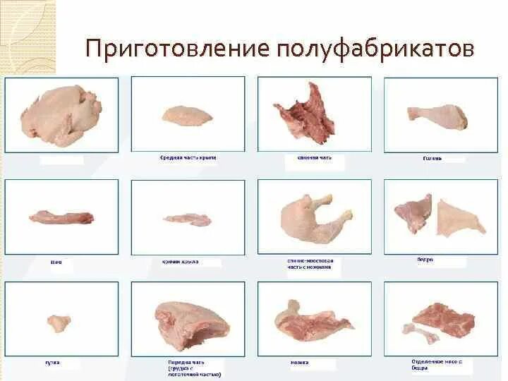 Разделка курицы на части схема фото Блюда из птицы Виды птиц Куры Цыплята